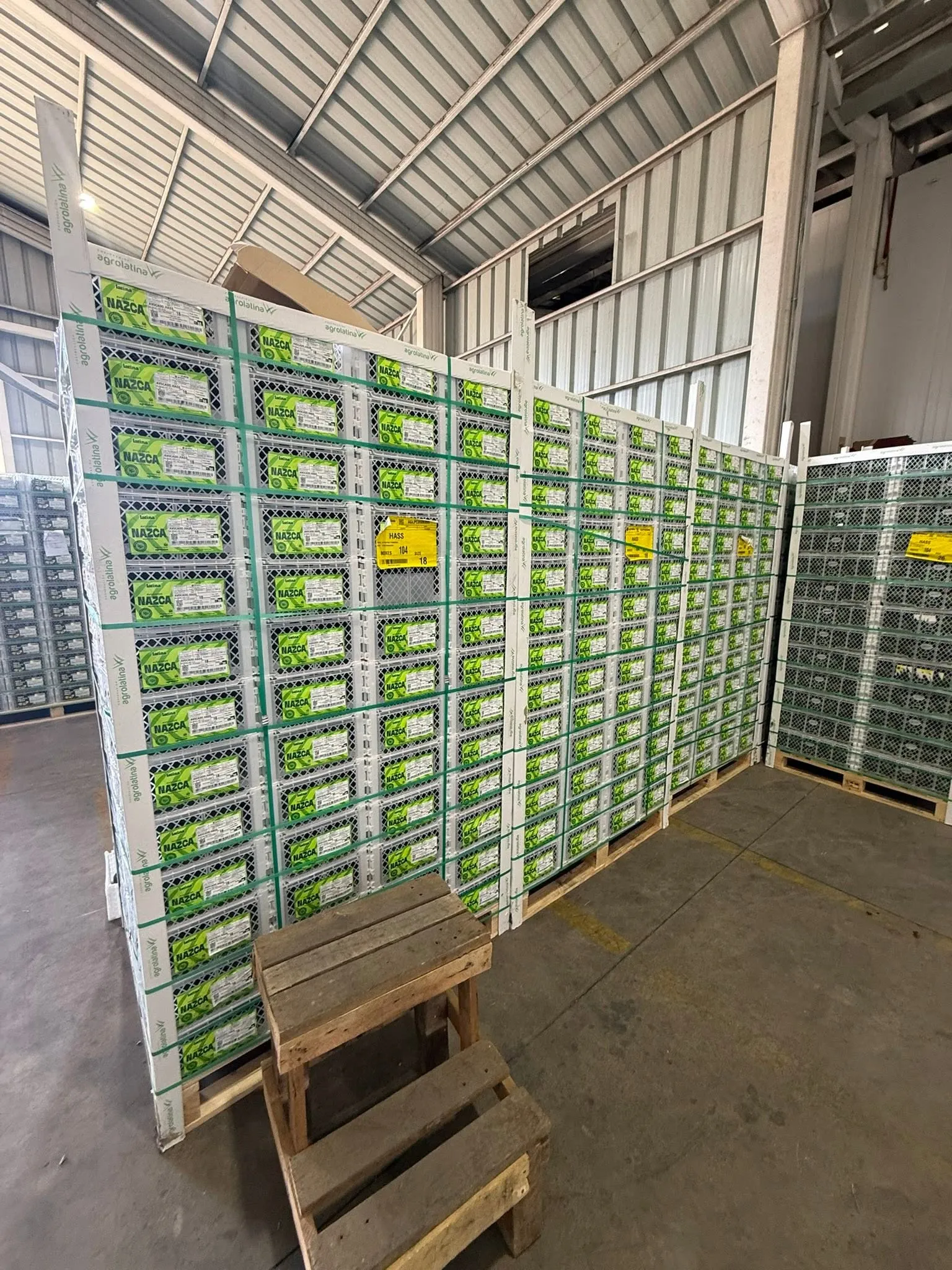 Pallets con cajas de paltas en una etapa de crecimiento de la operación