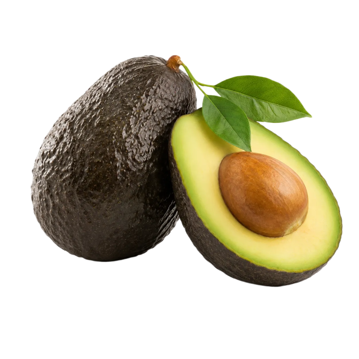 Palta Hass peruana calibre 12 de GROPAL SPA
